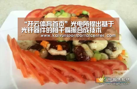 “开云体育首页”光电所提出基于光纤器件的相干偏振合成技术(图1) 开云体育首页