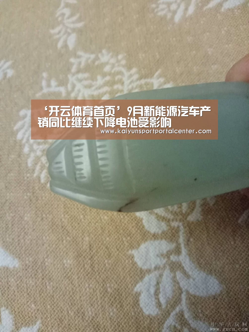 ‘开云体育首页’9月新能源汽车产销同比继续下降电池受影响(图1) 开云体育首页