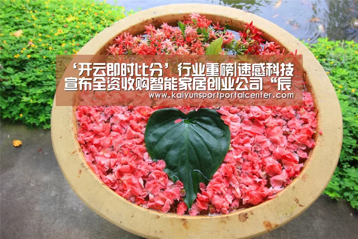 ‘开云即时比分’行业重磅|速感科技宣布全资收购智能家居创业公司“辰天科技”(图1) 开云即时比分